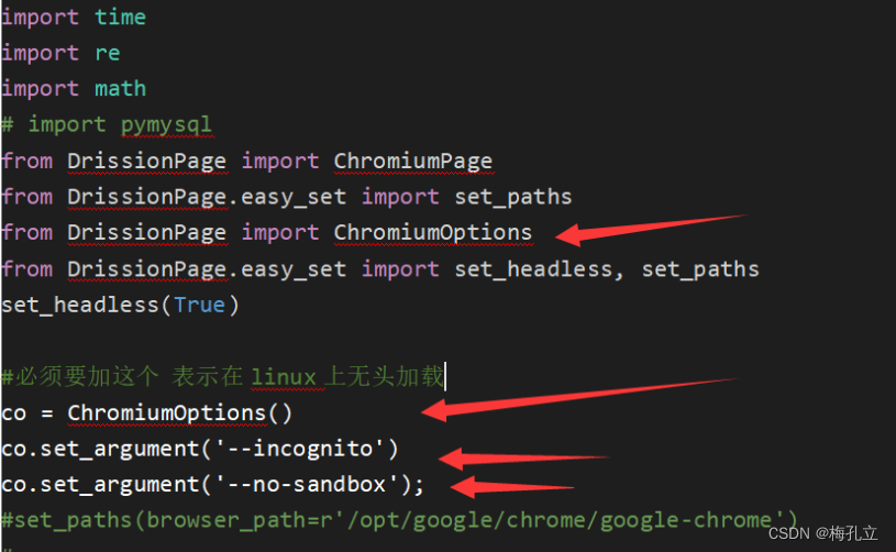 Python DrissionPage 爬虫 linux 部署说明 centos,在这里插入图片描述,第1张