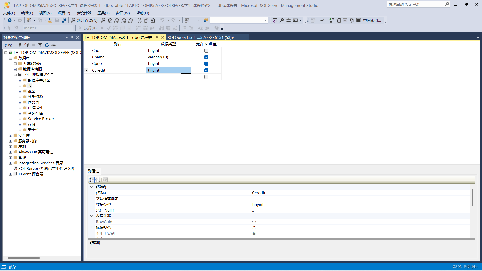 SQL server2022的详细安装流程以及简单使用,第52张