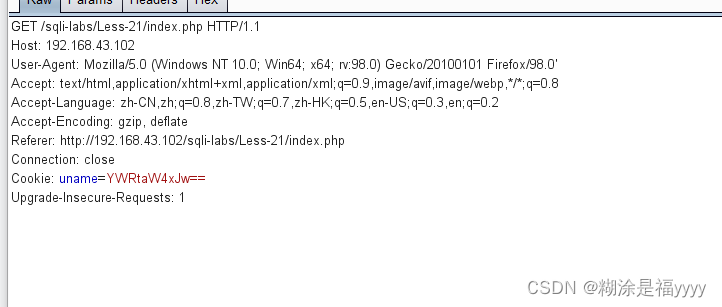 详细sqli-labs（1-65）通关讲解,第44张