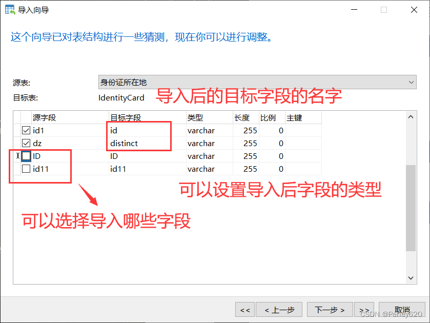 PostgreSQL数据库——Docker版本的postgres安装 & Navicat连接方式+导入向导使用 & SpringBoot结合Jpa使用PostgreSQL初步,在这里插入图片描述,第20张