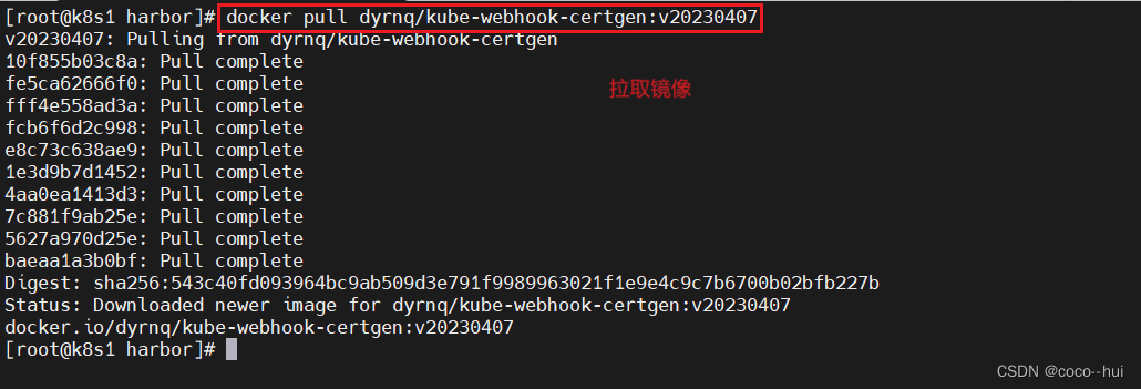 k8s-8 ingress,第13张