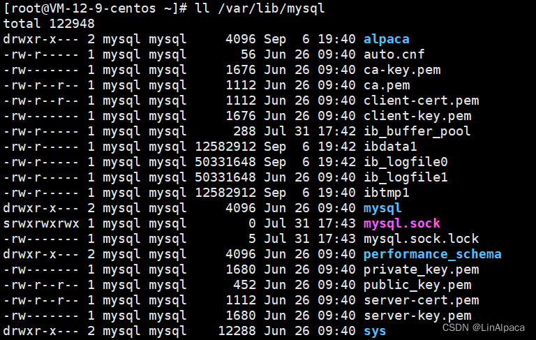 【MySQL】初见数据库,第3张