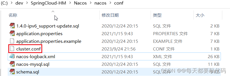 SpringCloudAlibaba微服务 【实用篇】| Nacos配置管理,第14张