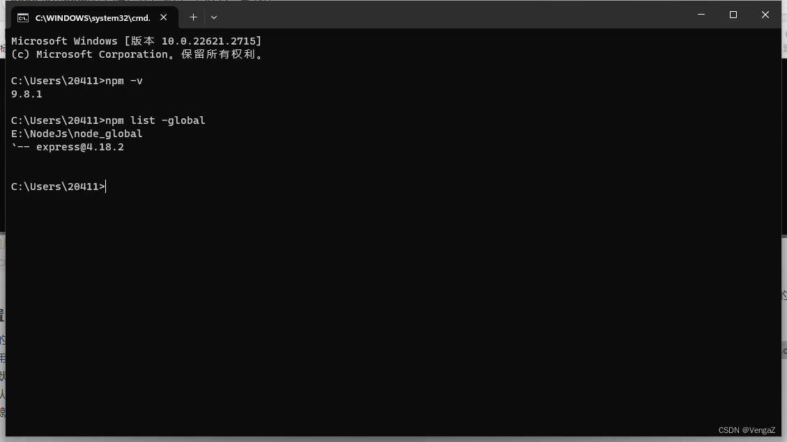 node.js和npm的安装与环境配置（2023最新版）,在这里插入图片描述,第11张