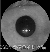 opencv 十五 红外图像中虹膜的提取,在这里插入图片描述,第11张