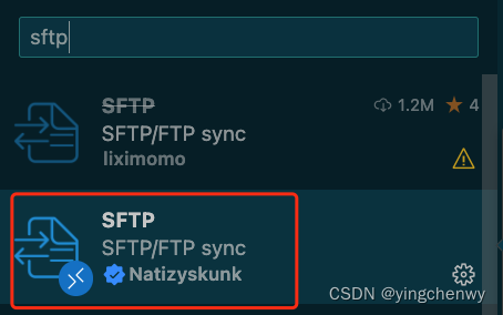 MacOS VSCode 配置远程服务器ssh remote链接，并上传文件文件服务器,第2张