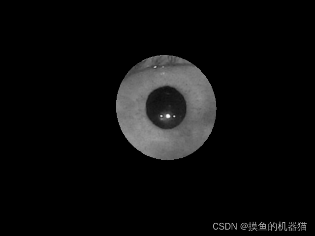 opencv 十五 红外图像中虹膜的提取,在这里插入图片描述,第10张