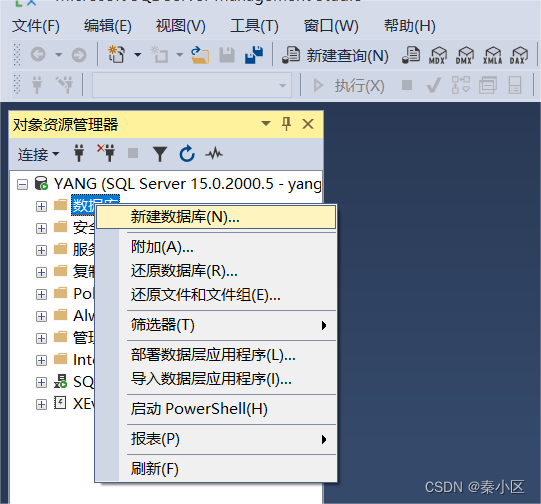 SQL server2022的详细安装流程以及简单使用,第37张