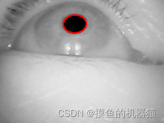 opencv 十五 红外图像中虹膜的提取,在这里插入图片描述,第5张