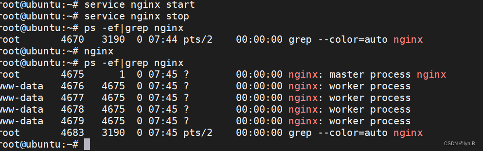 【Linux】在Ubuntu下部署nginx——nginx的安装与卸载,第4张