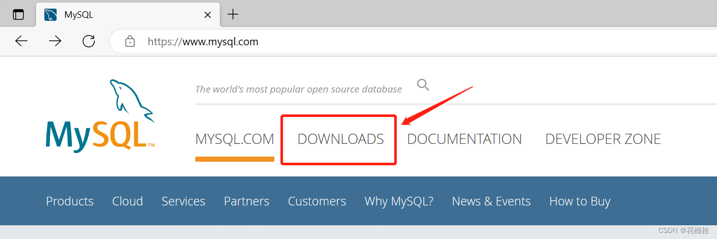 MySQL Community Server的安装配置教程(Windows版本),第1张
