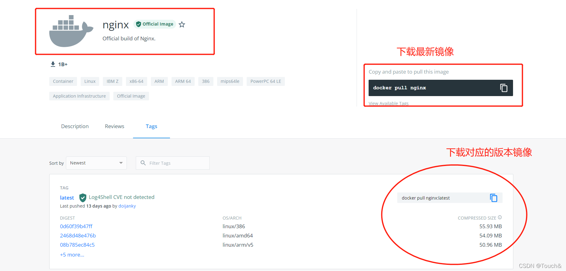 Docker 安装 Nginx 容器 (完整详细版),第2张