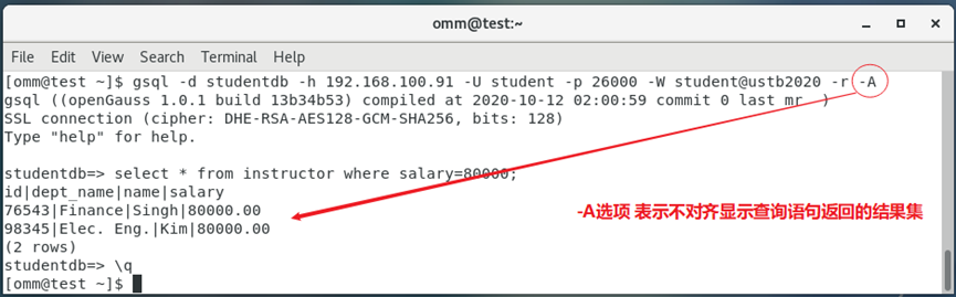 华为openGauss高斯数据库 - gsql用法,第1张