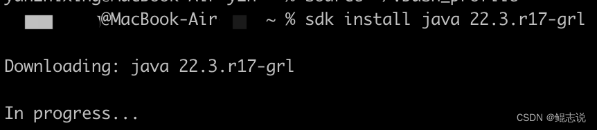 我把springboot项目从Java 8 升级 到了Java 17 的过程总结，愿为君提前踩坑！,在这里插入图片描述,第5张
