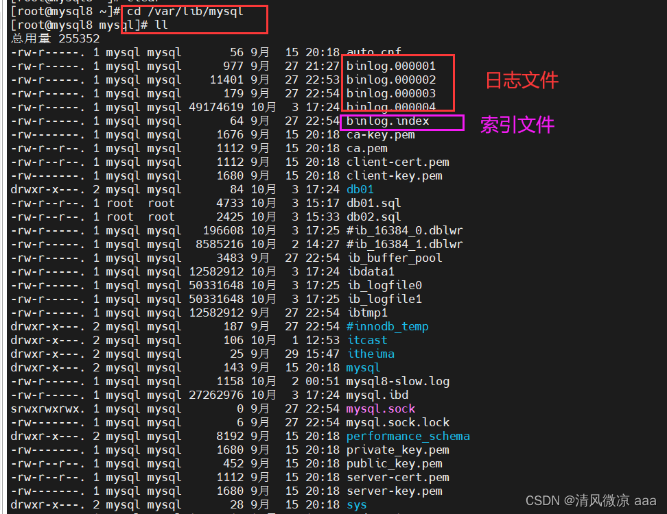 MySql运维篇---008：日志：错误日志、二进制日志、查询日志、慢查询日志，主从复制：概述 虚拟机更改ip注意事项、原理、搭建步骤,在这里插入图片描述,第4张