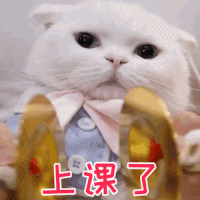 JDBC 连接 MySQL,第1张