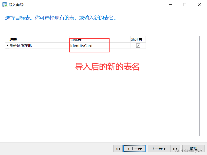 PostgreSQL数据库——Docker版本的postgres安装 & Navicat连接方式+导入向导使用 & SpringBoot结合Jpa使用PostgreSQL初步,在这里插入图片描述,第19张