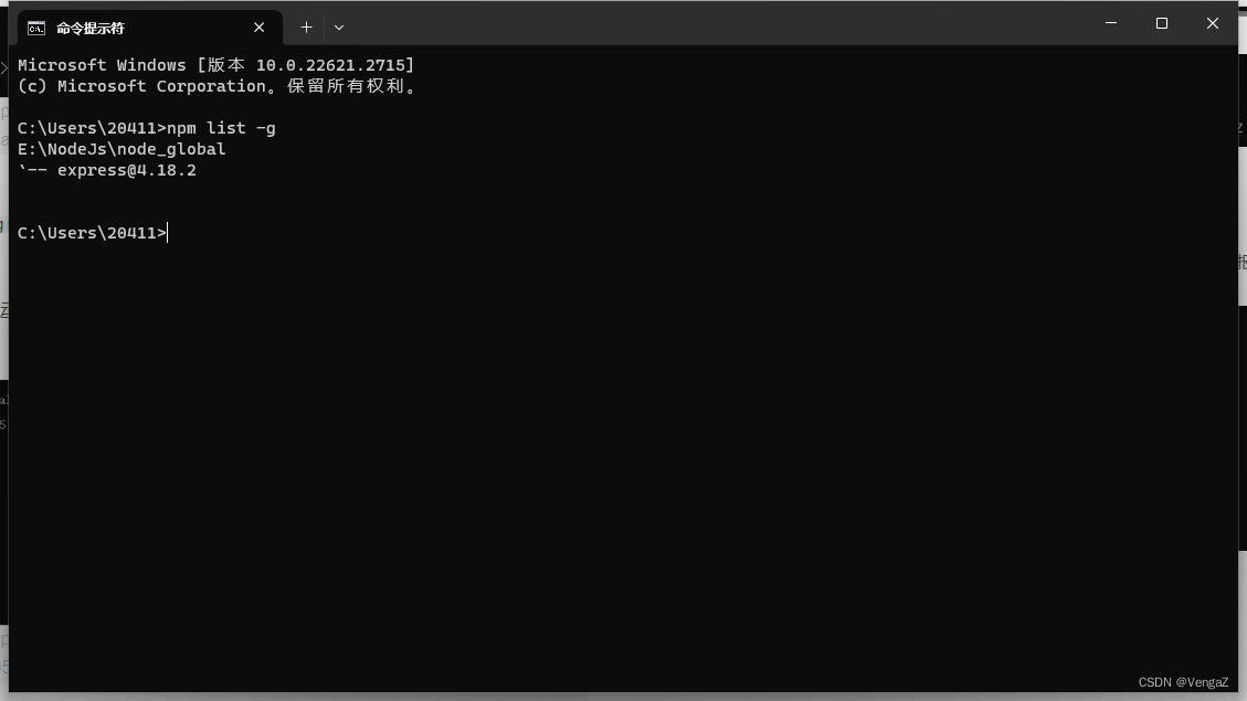 node.js和npm的安装与环境配置（2023最新版）,在这里插入图片描述,第16张
