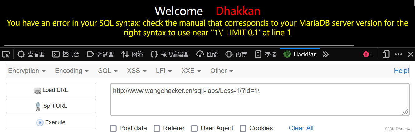 Sqli-lab教程-史上最全详解（1-22通关）,第3张