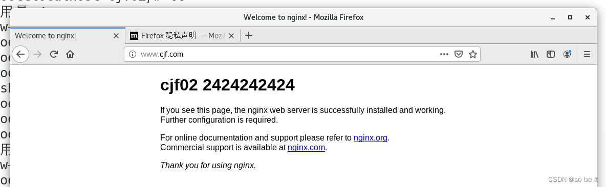 linux Nginx 配置,第24张