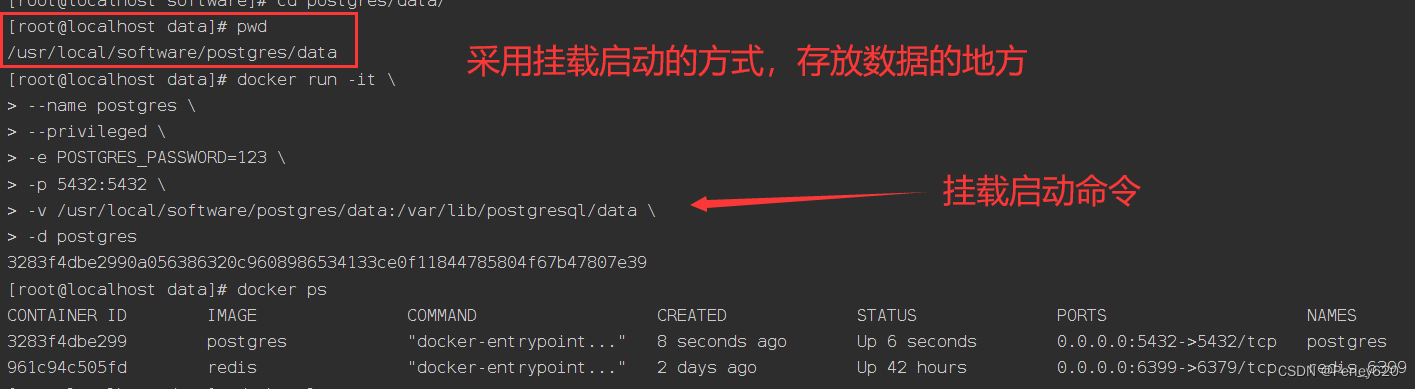 PostgreSQL数据库——Docker版本的postgres安装 & Navicat连接方式+导入向导使用 & SpringBoot结合Jpa使用PostgreSQL初步,在这里插入图片描述,第4张