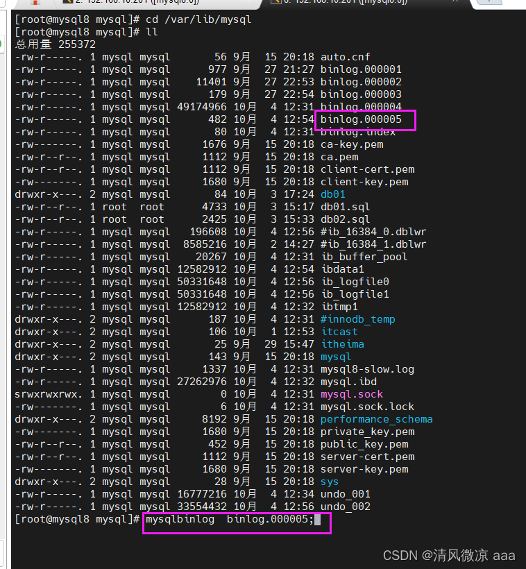 MySql运维篇---008：日志：错误日志、二进制日志、查询日志、慢查询日志，主从复制：概述 虚拟机更改ip注意事项、原理、搭建步骤,在这里插入图片描述,第17张