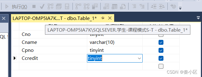 SQL server2022的详细安装流程以及简单使用,第50张