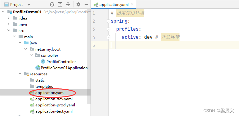 Spring Boot 多环境配置,在这里插入图片描述,第10张