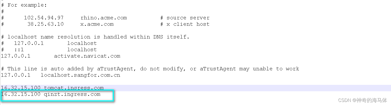 【Kubernetes资源篇】ingress-nginx最佳实践详解,[外链图片转存失败,源站可能有防盗链机制,建议将图片保存下来直接上传(img-QTgim04r-1690102684605)(D:\MD归档文档\IMG\image-20230723160113701.png)],第11张
