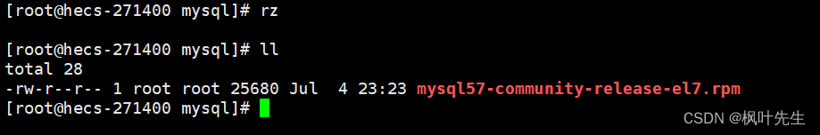 【MySQL系列】在Centos7环境安装MySQL,第7张