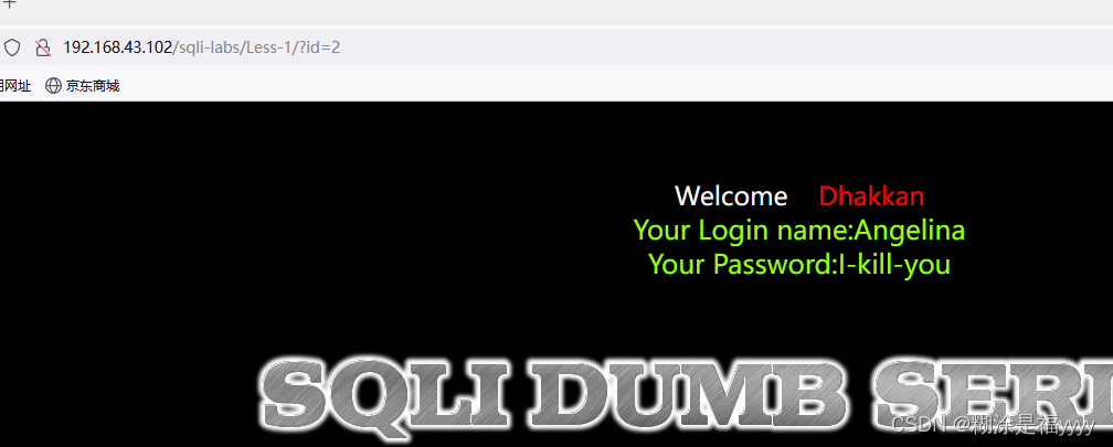 详细sqli-labs（1-65）通关讲解,第3张