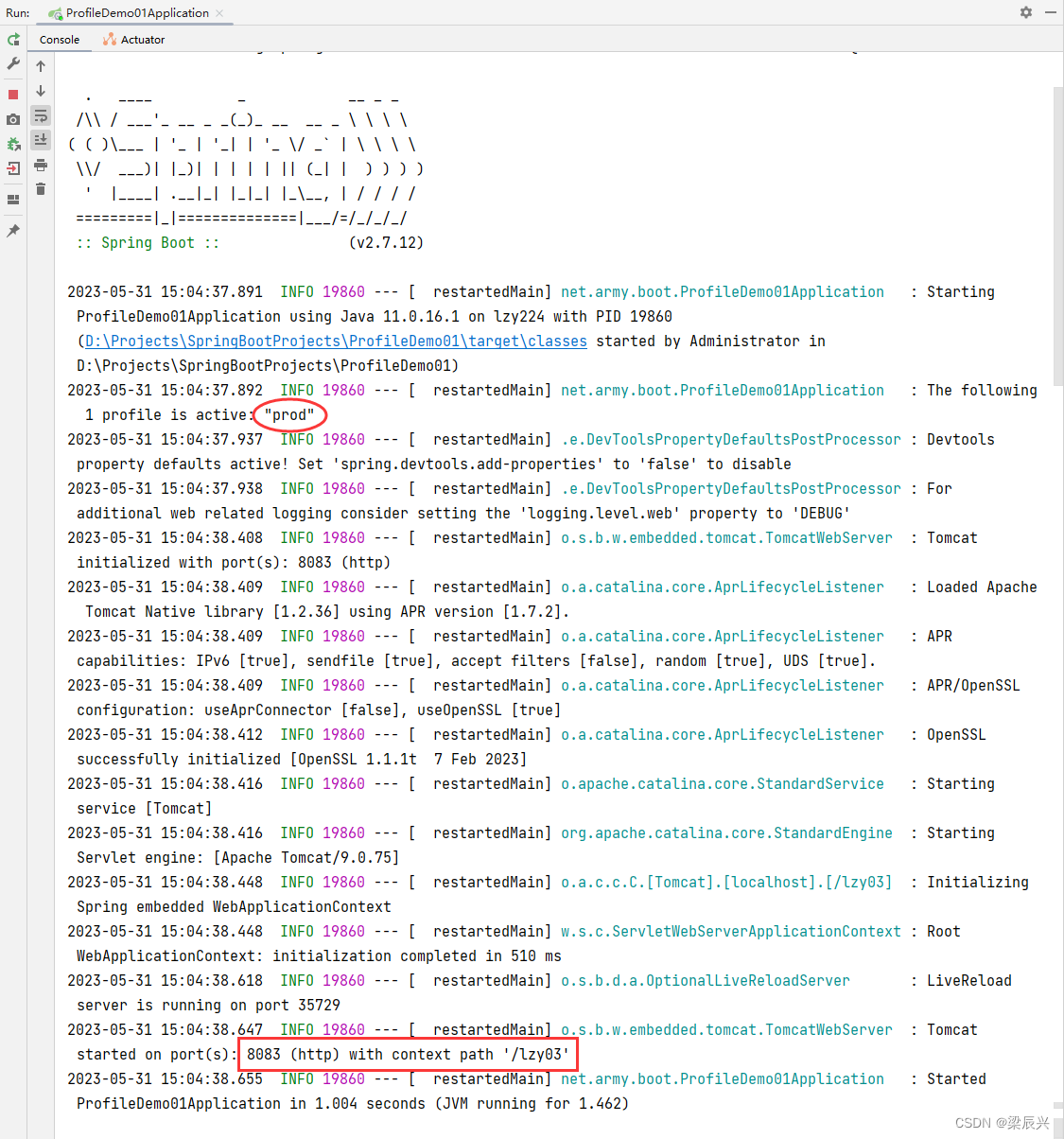 Spring Boot 多环境配置,在这里插入图片描述,第17张