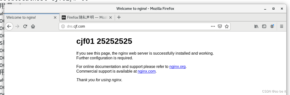 linux Nginx 配置,第23张