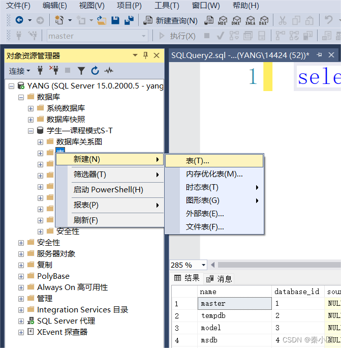 SQL server2022的详细安装流程以及简单使用,第46张