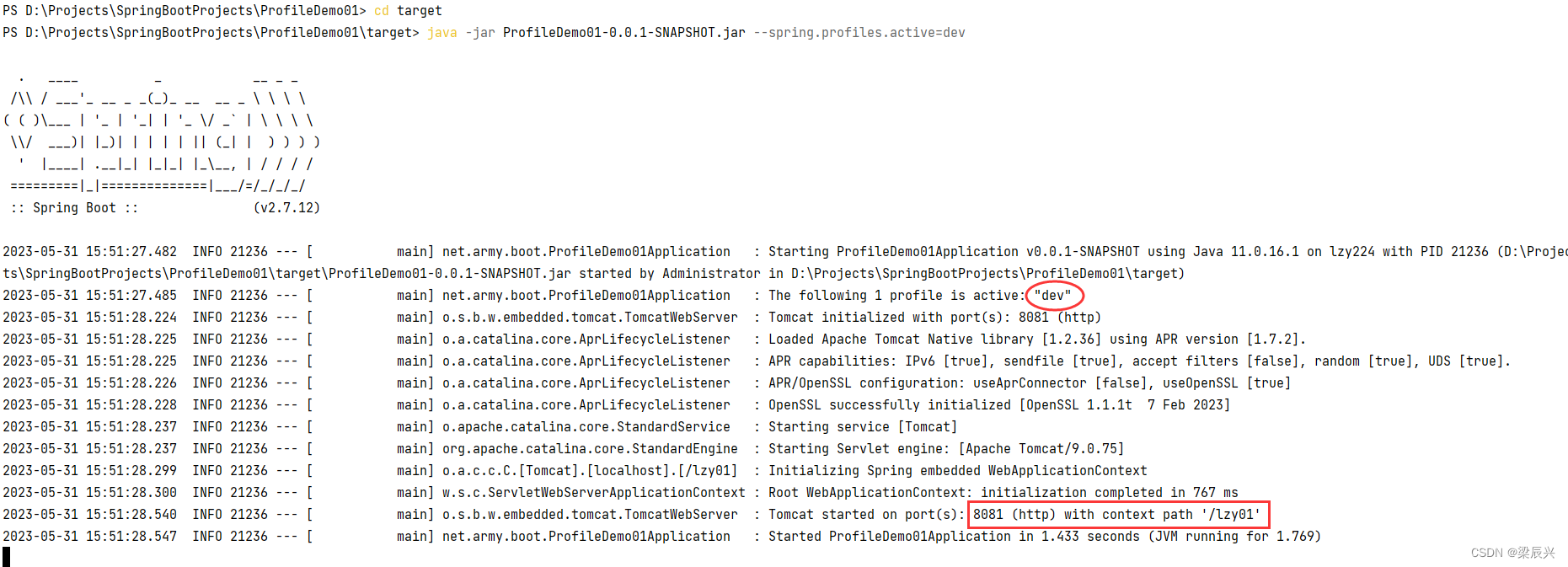 Spring Boot 多环境配置,在这里插入图片描述,第21张