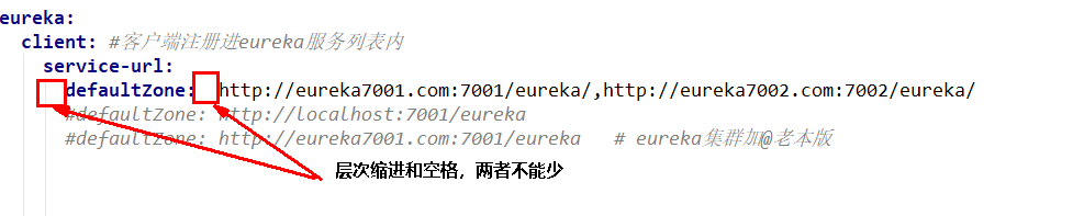 【SpringCloud】深入探究Eureka：构建微服务架构中的高效服务发现系统,image-20220123122714466,第3张