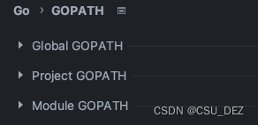 【Golang】排查 Build constraints exclude all the go files 的几个思路,第1张
