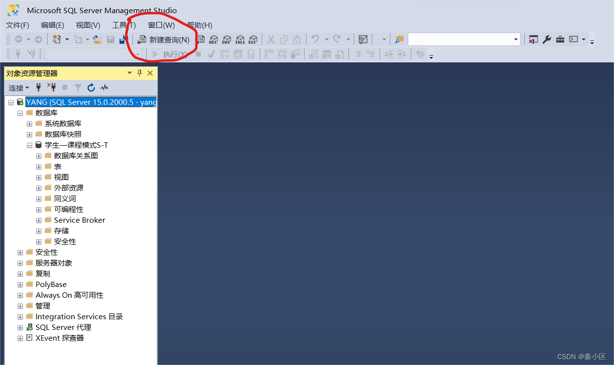 SQL server2022的详细安装流程以及简单使用,第42张