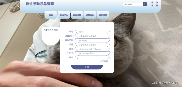 【毕业设计之java系列】基于springboot流浪猫狗领养管理系统,第2张