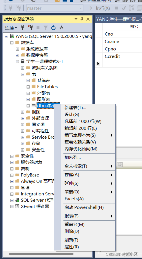 SQL server2022的详细安装流程以及简单使用,第53张
