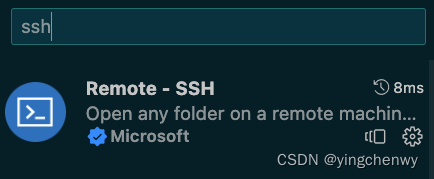 MacOS VSCode 配置远程服务器ssh remote链接，并上传文件文件服务器,第1张