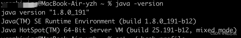 我把springboot项目从Java 8 升级 到了Java 17 的过程总结，愿为君提前踩坑！,在这里插入图片描述,第6张