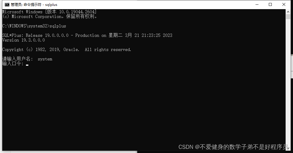 Oracle19C安装教程和配置（超详细！！不能在细了）,第16张