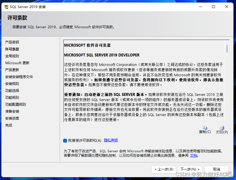 安装SQL Server详细教程,条款,第10张