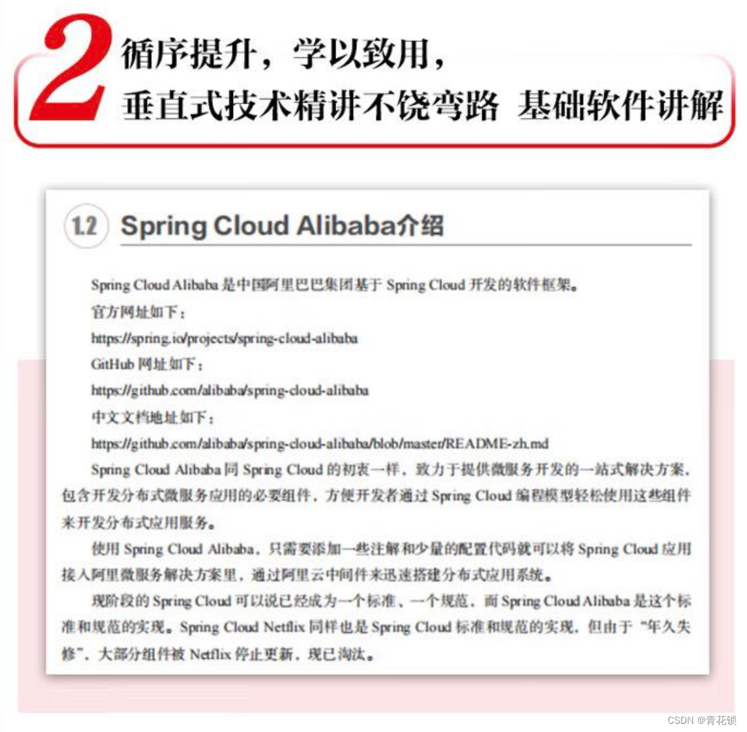 云原生微服务治理经典套件之Spring Cloud Alibaba核心技术与实战案例,在这里插入图片描述,第5张