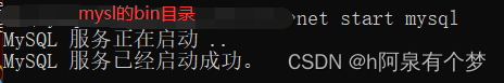 mysql无法成功启动服务的解决办法【通俗易懂】,第6张