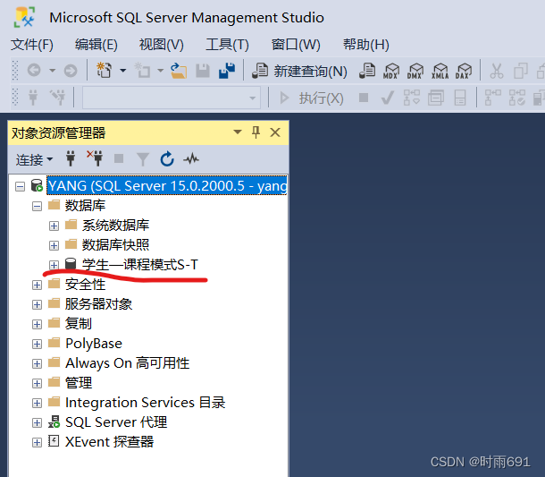 SQL Server详细使用教程(包含启动SQL server服务、建立数据库、建表的详细操作) 非常适合初学者,第18张