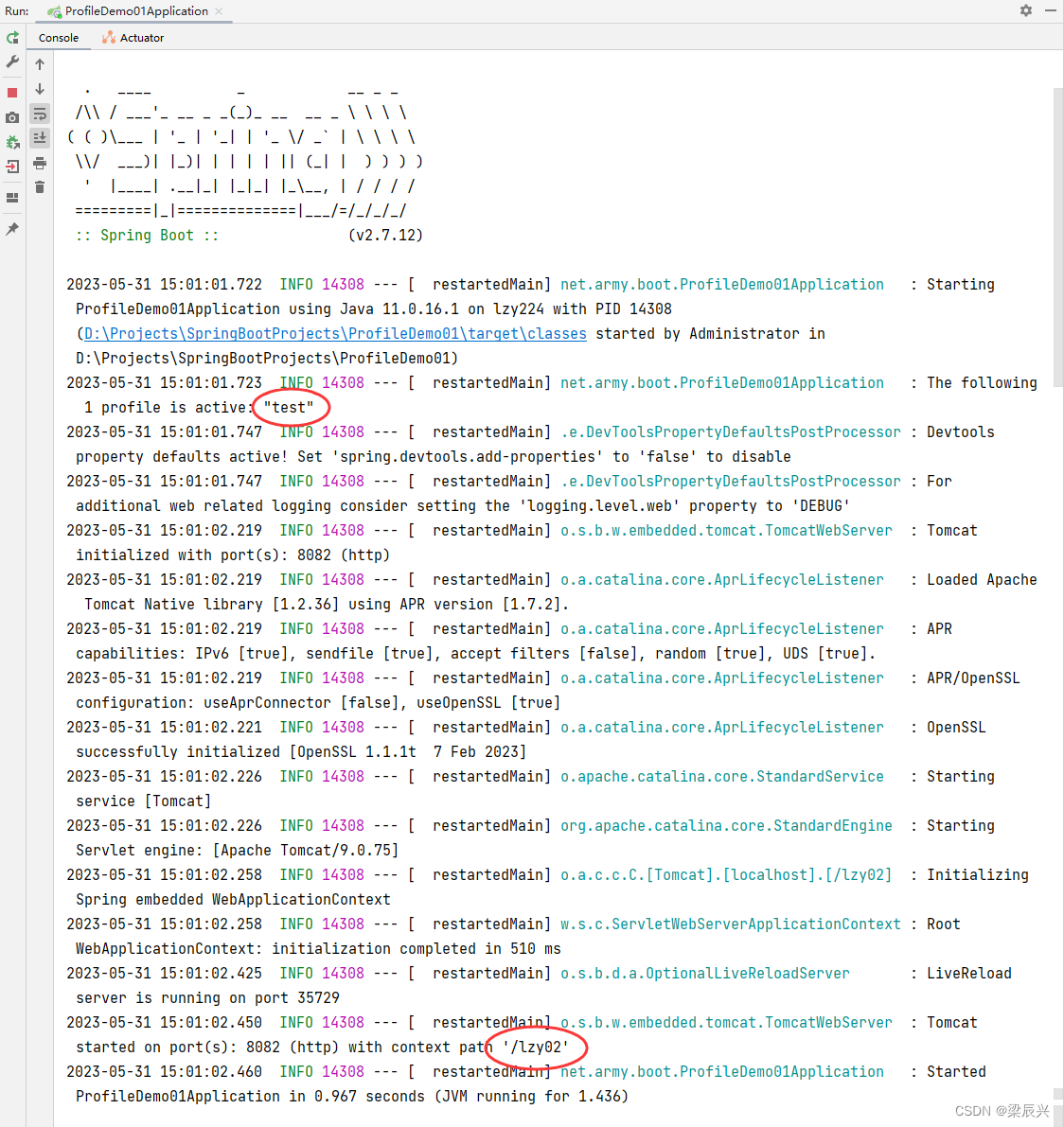 Spring Boot 多环境配置,在这里插入图片描述,第14张
