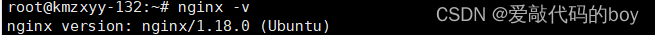 Ubuntu环境下安装部署Nginx（有网）,第1张