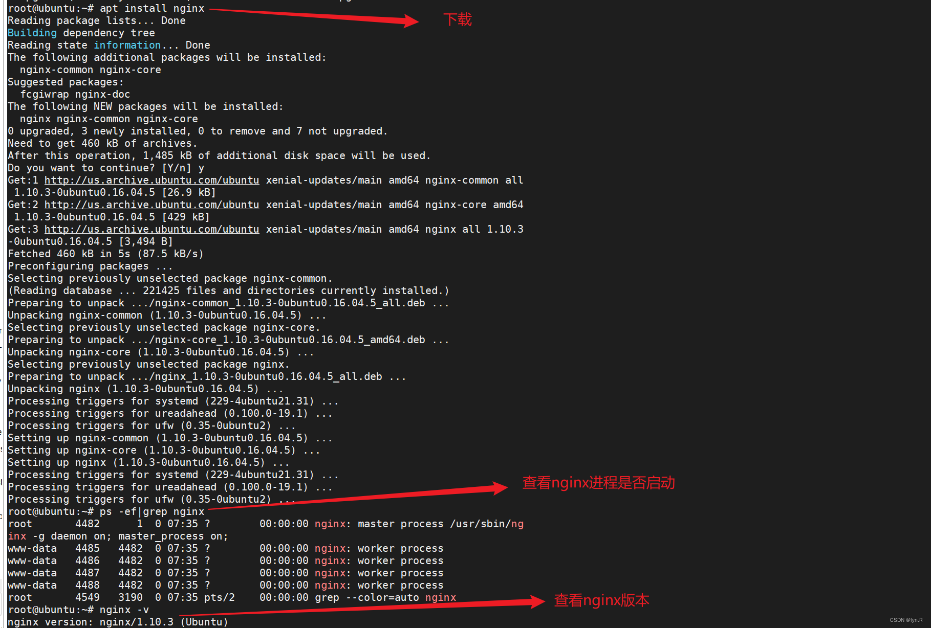 【Linux】在Ubuntu下部署nginx——nginx的安装与卸载,第1张